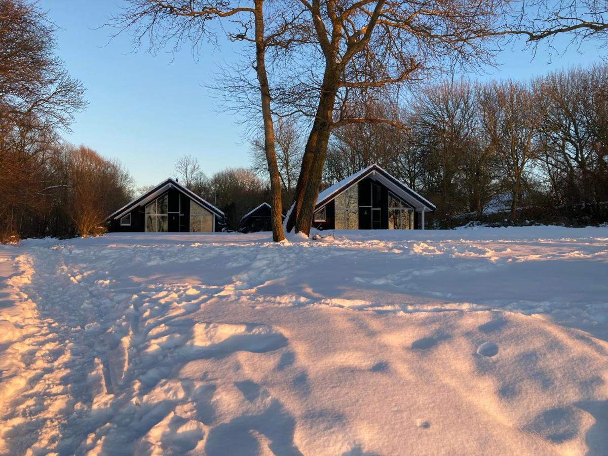 Ferienhaeuser Boddenstrand Wiek auf Rügen Екстериор снимка